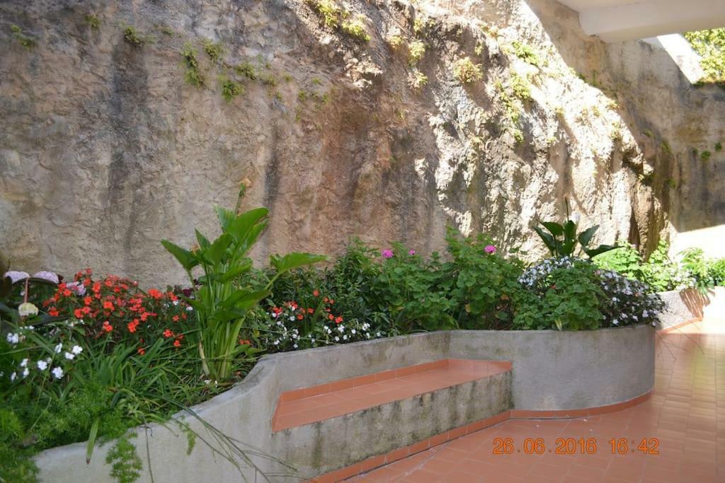 Coral Villa Ericeira Exteriör bild